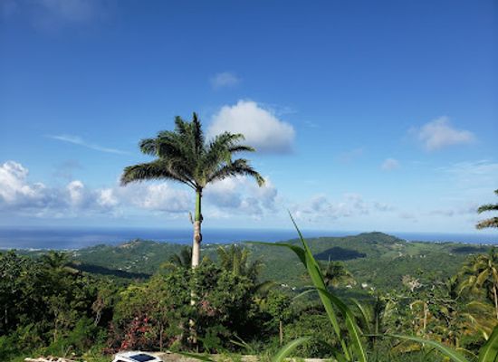 barbados/scotland-district/landmark/mount-hillaby