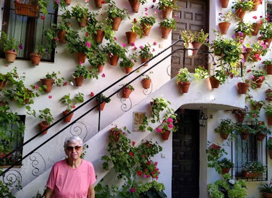 spain/cordoba/san-basilio/landmark/casa-patio-san-basilio-14