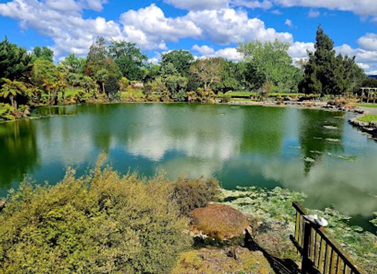 new-zealand/rotorua/landmark/kuirau-park
