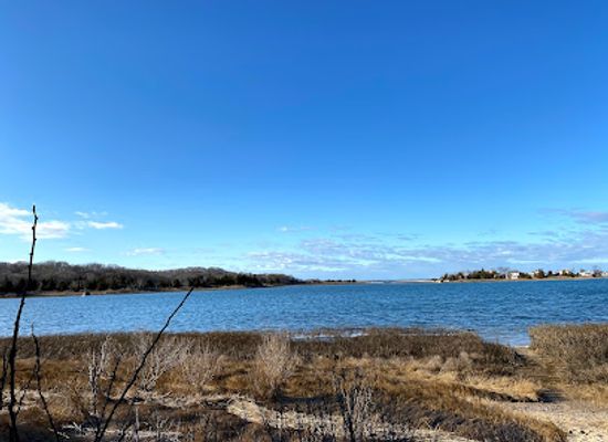 new-york/long-island/landmark/conscience-point-historic-site-nature-walk
