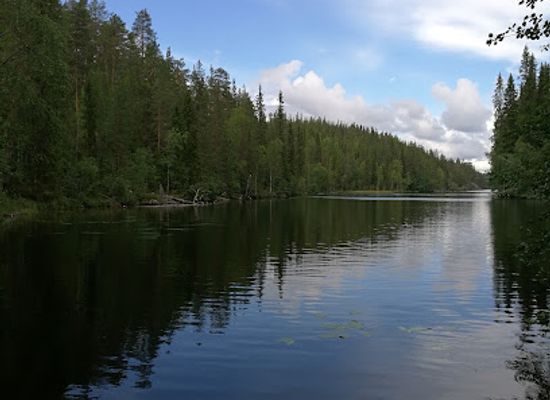 finland/kainuu/landmark/julma-olkky
