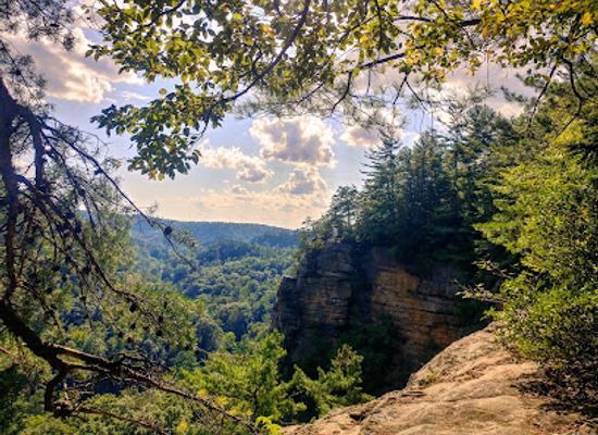 kentucky/cumberland-plateau/landmark/daniel-boone-national-forest