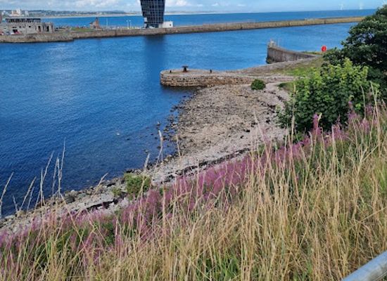 united-kingdom/aberdeen/attraction/skate-s-nose-jetty-capstan