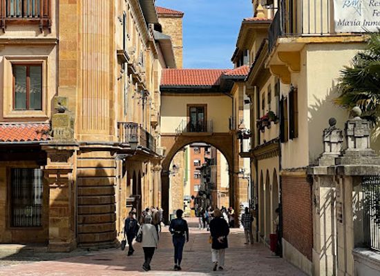 spain/oviedo/landmark/archaeological-museum-of-asturias