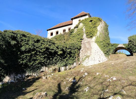 slovenia/savinja/landmark/hmeljnik-castle