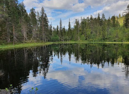 finland/pyha-luosto-national-park/landmark/pyha-luosto-visitor-and-culture-center-naava