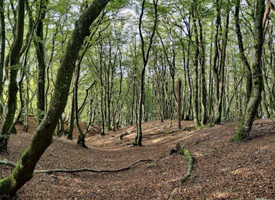 denmark/rold-skov/attraction/rebild-national-park