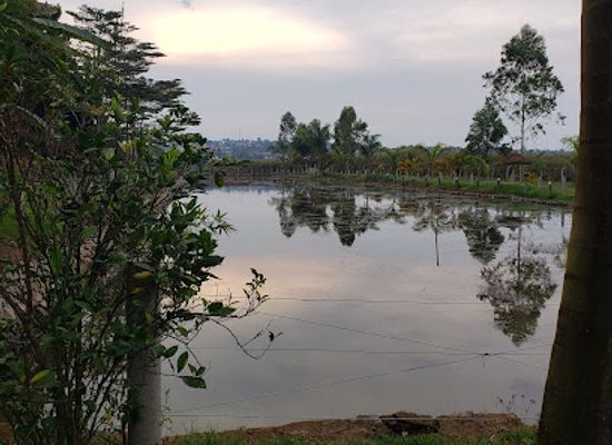 uganda/masaka/landmark/greenville-country-resort-beach