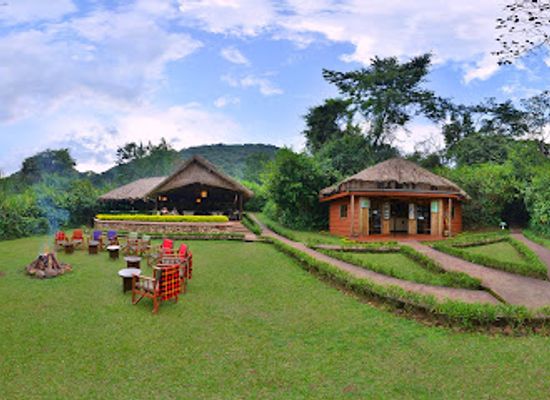 uganda/bwindi-impenetrable-national-park/landmark/sanctuary-gorilla-forest-camp-uganda