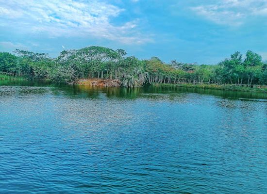 ghana/brong-ahafo/landmark/legon-botanical-gardens-ghana