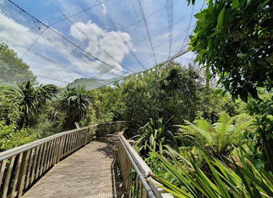 new-zealand/hamilton/landmark/hamilton-zoo