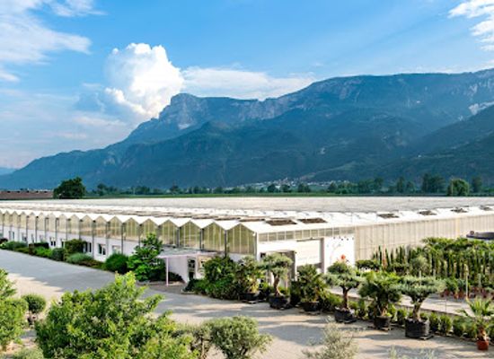 italy/alto-adige/landmark/raffeiner-theme-park