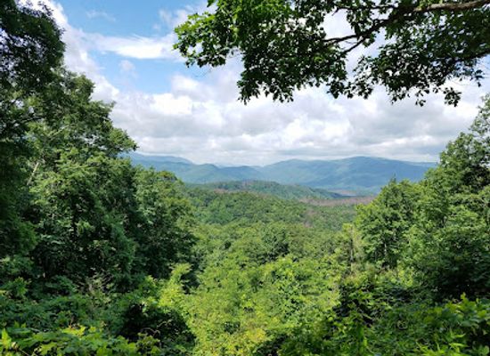 north-carolina/great-smoky-mountains/landmark/the-place-of-a-thousand-drips