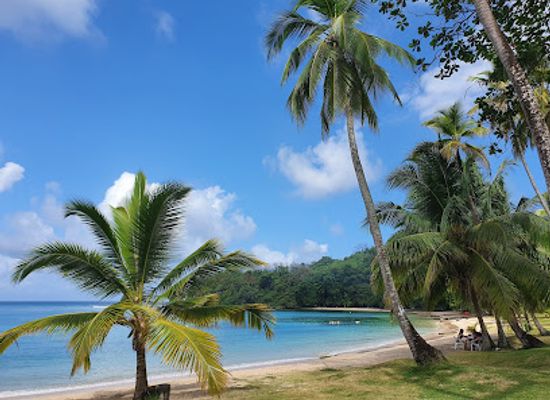 panama/pearl-islands/landmark/isla-grande