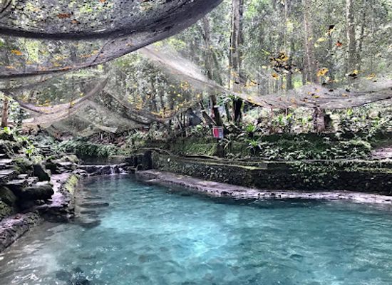 philippines/camiguin/landmark/ardent-hot-spring