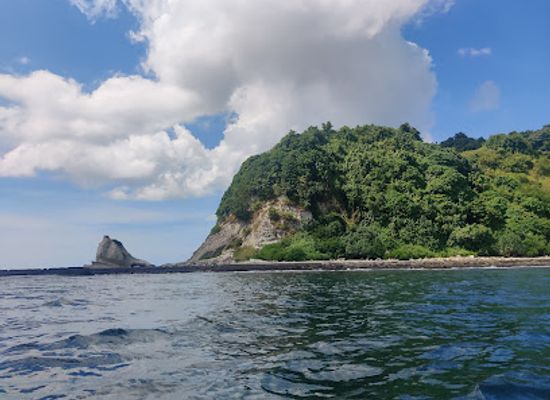 india/andaman-and-nicobar-islands/landmark/interview-island