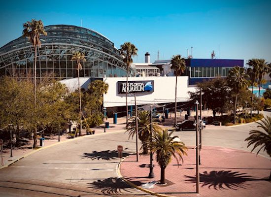 florida/nature-coast/landmark/the-florida-aquarium