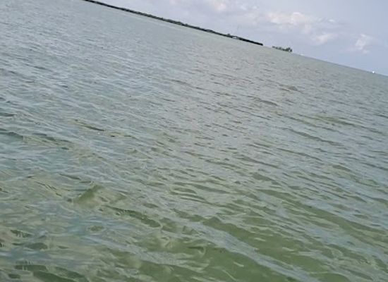 belize/toledo-district/landmark/punta-gorda-town-council
