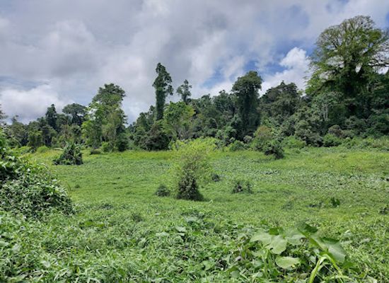 sao-tome-and-principe/ribeira-afonso/landmark/lagoa-amelia