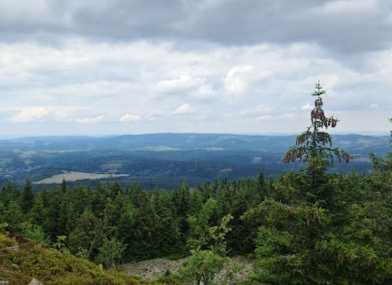 germany/harz-national-park/landmark/wolfswarte