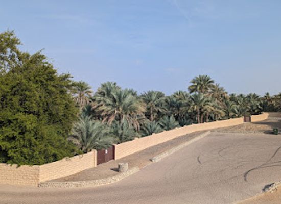 united-arab-emirates/al-ain-oasis/landmark/al-qattarah-oases