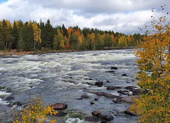 sweden/vasterbotten/attraction/vindel-river-nature-center