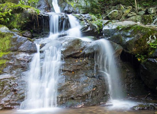 virginia/shenandoah-national-park/landmark/dark-hollow-falls-shenandoah-national-park