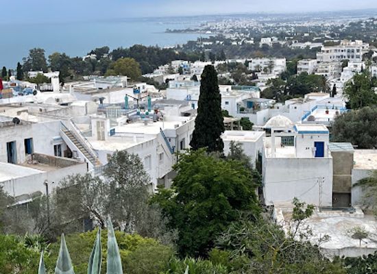 tunisia/tunis/carthage/landmark/city-panorama-platform