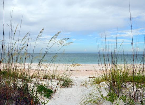 florida/sarasota/lido-key/landmark/north-lido-beach-park