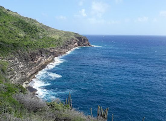 antigua-and-barbuda/saint-john/landmark/big-banana