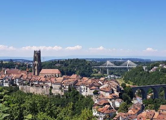 switzerland/vevey/landmark/fribourg
