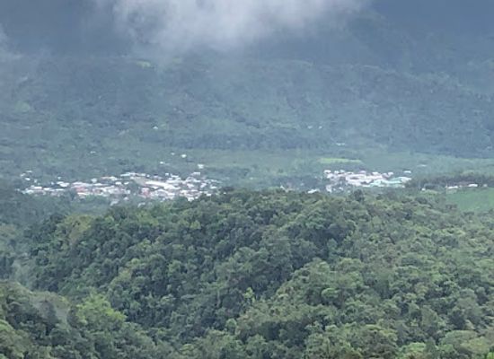 ecuador/mindo-cloud-forest/landmark/el-quetzal-de-mindo-with-chocolate-tour