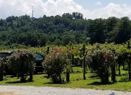 north-carolina/blue-ridge-mountains/landmark/saint-paul-mountain-vineyards