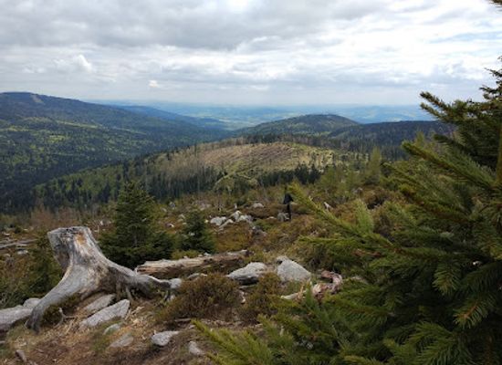 czechia/sumava-national-park/landmark/trojmezna-hora