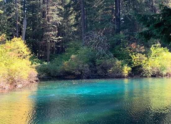 oregon/lake-county/landmark/clear-lake-resort