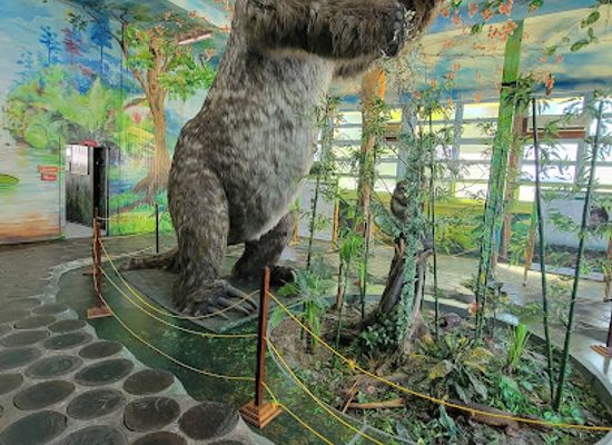 guyana/essequibo-islands-west-demerara/landmark/guyana-national-museum