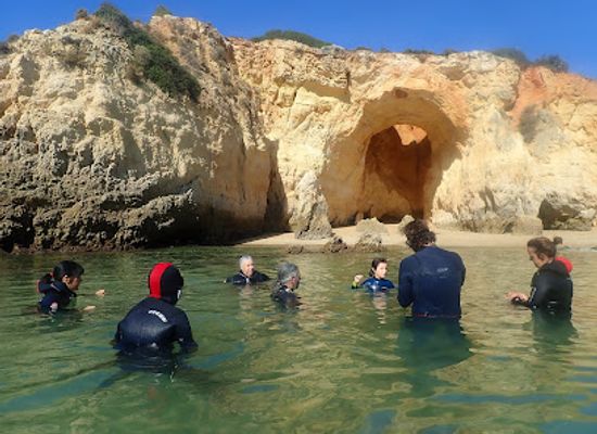 portugal/portimao/landmark/zip-trip-algarve