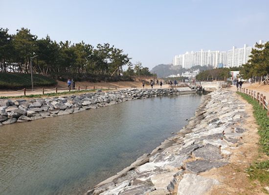 south-korea/north-gyeongsang-province/landmark/dadaepo-sunset-fountain-of-dream