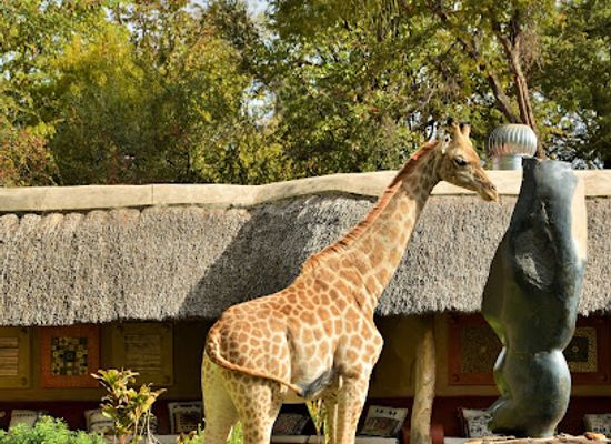 zimbabwe/mashonaland-west/landmark/pamuzinda-safari-lodge