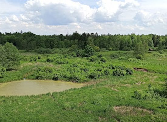 poland/podlachia/landmark/royal-oak-trail