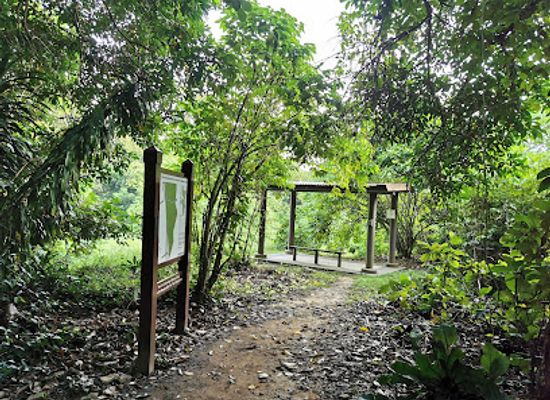 singapore/bukit-batok/landmark/munia-hut