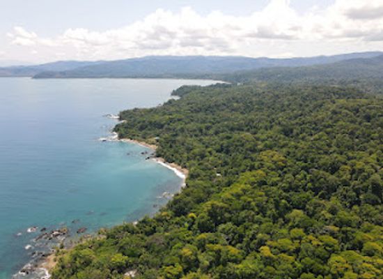 costa-rica/osa-peninsula/landmark/punta-rio-claro-national-wildlife-refuge
