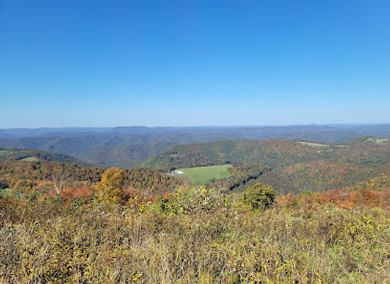 west-virginia/monongahela-national-forest/landmark/olson-observation-tower