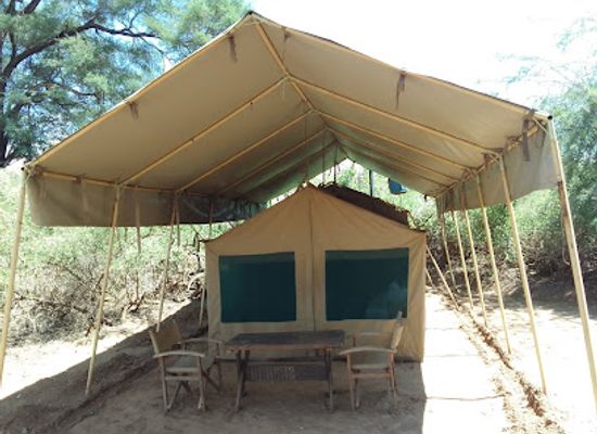 kenya/samburu-national-reserve/landmark/lion-king-safari-bush-camp