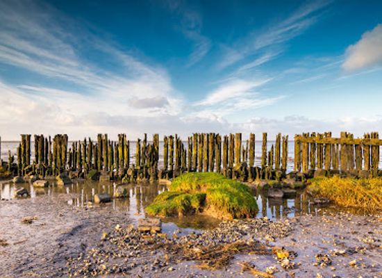 netherlands/wadden-islands/landmark/peazemerlannen