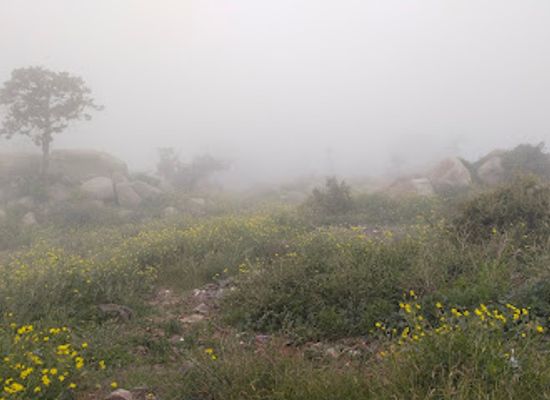 saudi-arabia/al-hada/landmark/taif-view-point