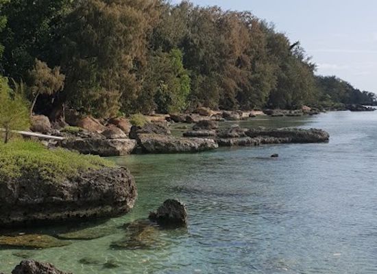 vanuatu/shefa-province/landmark/roawia-turtle-and-snorkelling-tours-vanuatu