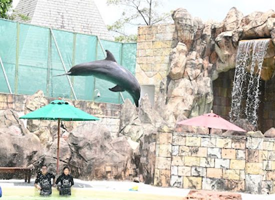 singapore/sentosa/landmark/dolphin-island