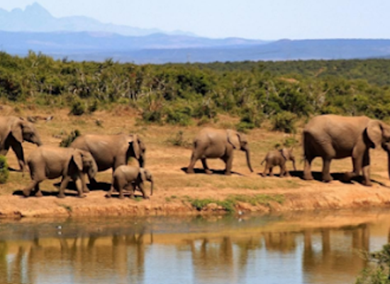 uganda/queen-elizabeth-national-park/landmark/rwenzori-mountains-national-park