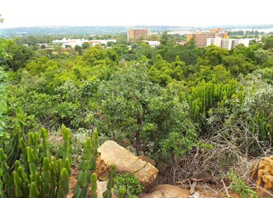 south-africa/pretoria/landmark/pretoria-national-botanical-gardens